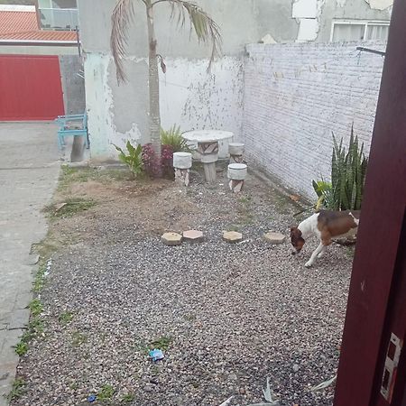 Kitinete Rio Vermelho Florianópolis 外观 照片