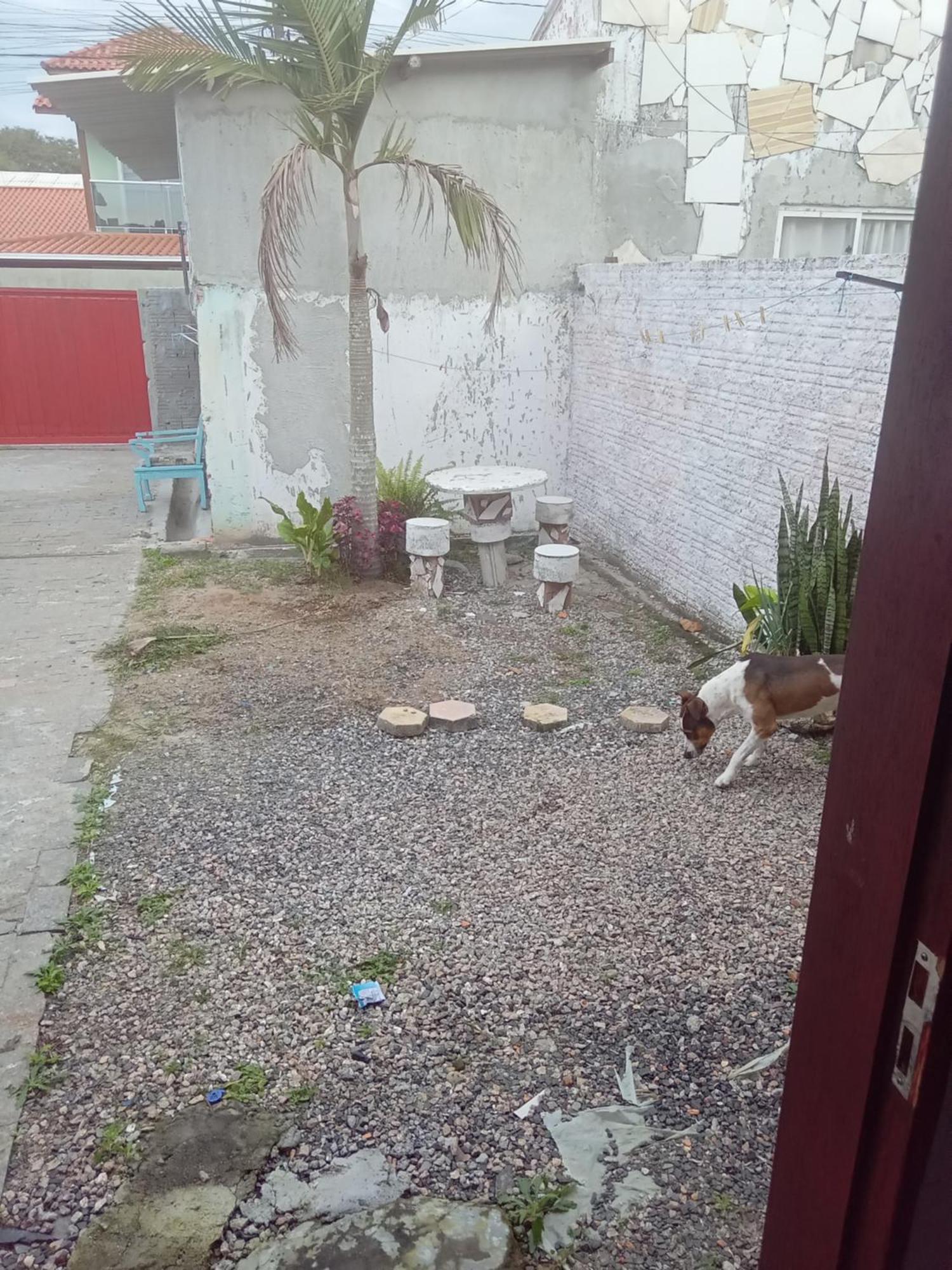 Kitinete Rio Vermelho Florianópolis 外观 照片